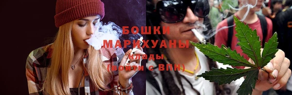 стаф Аркадак