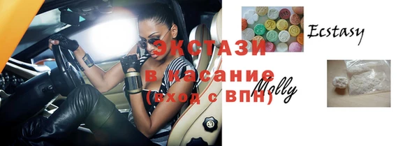 стаф Аркадак