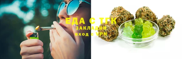 стаф Аркадак