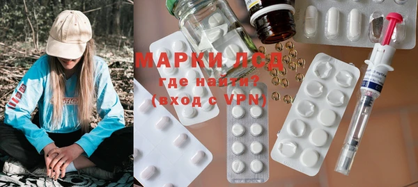 стаф Аркадак