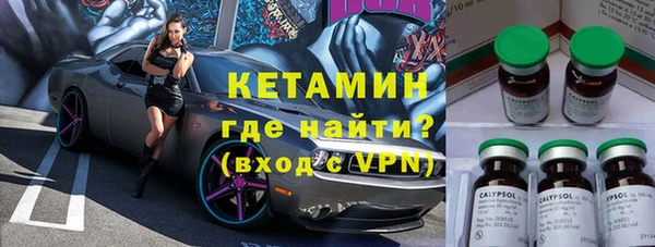 стаф Аркадак