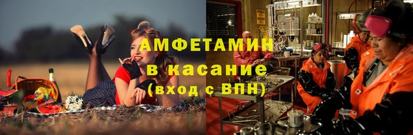 стаф Аркадак